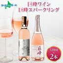 巨峰ワイン 巨峰スパークリング 720ml 2本セット モンデ酒造 ワイン 酒 お酒 果実酒 贈り物 誕生日 御中元 お中元 ギフト 父の日 ギフト ワイン 父の日 お酒 プレゼント 晩酌 宅飲み キャンプ BBQ パーティー 送料無料 北国からの贈り物