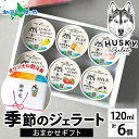 ハスキージェラート 季節 限定 ジェラート 6種 おまかせ 人気 ミルク ショコラ ピスタチオ ベリー ほうじ茶 黒糖 バナナ ジェラート 専..