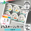 ハスキージェラート ジェラート ミルク 6個入 アイス ギフト箱 熨斗 送料無料 人気 専門店 デザート ご当地 アイス ジェラート お取り寄せスイーツ 定番 贈り物 御歳暮 お歳暮 ギフト アイス クリーム ギフト お歳暮 アイスクリーム ロストアンドファウンド