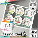 お中元 夏ギフト アイス ハスキージェラート ジェラート 6個入り 3種 ミルク ショコラ ピスタチオ アイス ギフト箱 熨斗 送料無料 人気 専門店 デザート ご当地 フレーバー アイス ジェラート お取り寄せ 食べ比べ 土産 贈り物 御中元 お中元 アイス ロストアンドファウンド