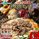 十勝っ子 ジンギスカン 焼肉 ホルモン 食べ比べ 5種 Bセット 計5パック 羊肉 ラム マトン 肉 牛カルビ 豚ホルモン 塩味 みそ味 ロース 羊 牛 豚 肉...