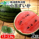 魚沼産 小玉すいか2玉 1玉あたり1.5kg~2.2kg 国産 すいか 西瓜 こだますいか こだまスイカ 小玉スイカ 薄皮 甘い シャリシャリ 濃厚 ひんやり おやつ デザート 旬の フルーツ 旬の果物 夏 産地直送 送料無料◆出荷予定:7月下旬~8月上旬
