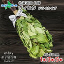 北海道産 白樺 ヴィヒタ(ドライタイプ)45-50cm・1本/3本/5本 HOKKAIDO Vihta 乾燥ヴィヒタ サウナグッズ プレゼント ドライ ヴィヒタ サウナ アロマ ビヒタ サウナ用品 サウナグッツ インテリア 誕生日 プレゼント ギフト 北国からの贈り物 送料無料