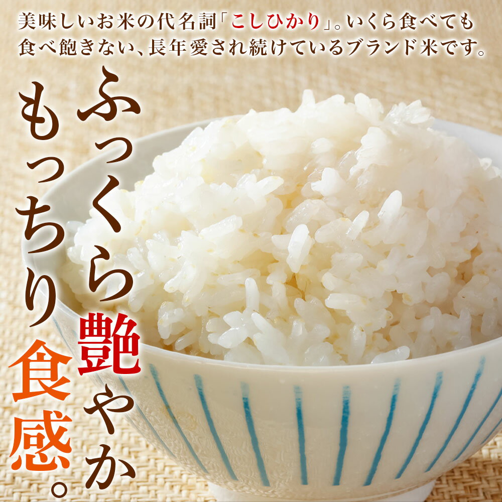 【令和7年産】 魚沼産 コシヒカリ 特A （精米5kg/無洗米5kg/精米10kg/無洗米10kg） 新潟県産 備蓄 魚沼地区 こしひかり 5kg 10kg 新潟産 特A米 白米 精米 無洗米 簡単 お手軽 米 お米 ごはん 小分け 常備食 国産 安全 産直 産地直送 人気 グルメ ギフト