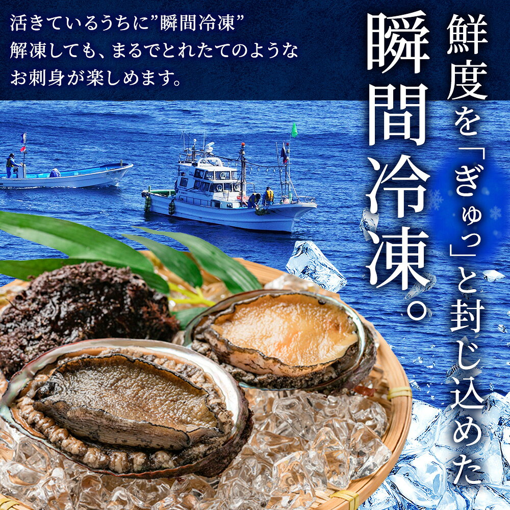 北海道産 蝦夷 あわび 300g （4-6粒） エゾ アワビ ギフト 積丹 魚介 海鮮 刺身 鮑 蝦夷鮑 蝦夷アワビ お取り寄せ グルメ 御中元 夏ギフト 猛暑対策 夏グルメ 食べ物 プレゼント 年始 おせち 料理 東しゃこたん お祝い 贈り物 ソーシャルギフト 敬老の日 snowland-10042088 北国からの贈り物(北海道グルメ) サンプル画像2