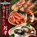 配達指定可 お歳暮 豪華 北海道産 エビとアワビのお刺身セット お刺身用 なんばんえび ぼたん蛯 エゾあわび 2粒120g アワビ 海老 蝦夷 鮑 蝦夷あわび 蝦夷アワビ ボタンエビ 刺身 東しゃこたん 高級 積丹 ギフト 魚介 海鮮 お取り寄せ お正月 グルメ おせち 送料無料