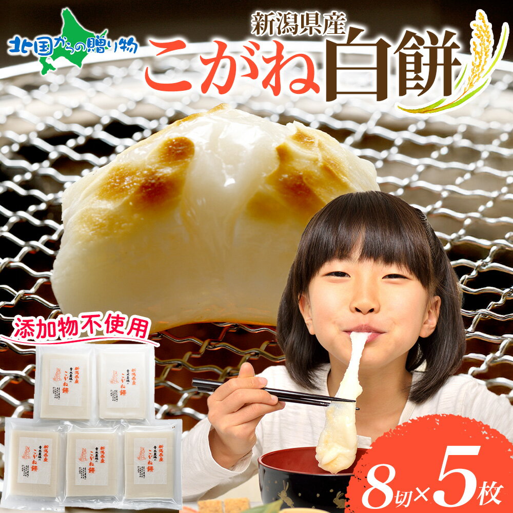 白餅 8切れ 5枚 カット済み 餅 モチ もち ギフト のし のし餅 こがねもちち 杵つき餅 こがね餅 おもち お餅 取り寄せ お正月 グルメ お菓子 御歳暮 年末 年始 お歳暮 新潟市 スイーツ 物産展 お土産 青木農場 gift set sweets 送料無料