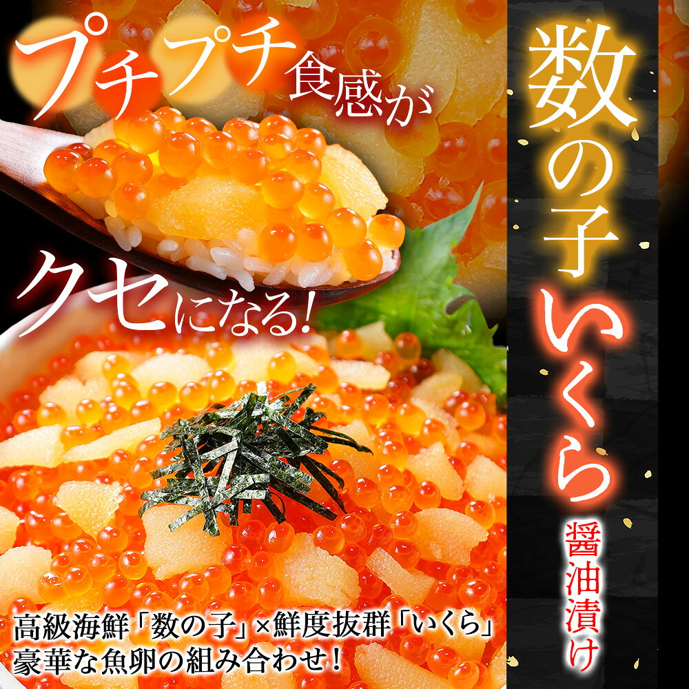 加藤水産特製珍味セット（サーモン塩辛120g×2、数の子いくら100g×2、つぶ貝入りい...