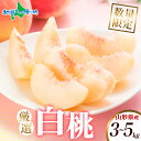 山形県産 白桃 約3kg/5kg ※100セット限定 もも モモ 白桃 旬 産地直送 大玉 完熟 果物 お中元 フルーツ 桃 山形 新鮮 人気 美味しい 贈答 ...