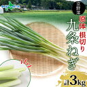 九条ねぎ 原体 根切り 3kg 京のおねぎはん 京野菜 京都府産 葱 ネギ ラーメン うどん 味噌汁 お鍋 ねぎ焼き 薬味 業務用 常備菜 産地直送 お取り寄せ 送料無料 西陣屋 京都府 亀岡市