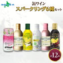 缶ワイン スパークリング 6種 12本入 モンデ酒造 プティモンテリア プレミアム デラウェア ロゼ サングリア 缶ワイン スパークリングワイン 缶 ワイン 飲...