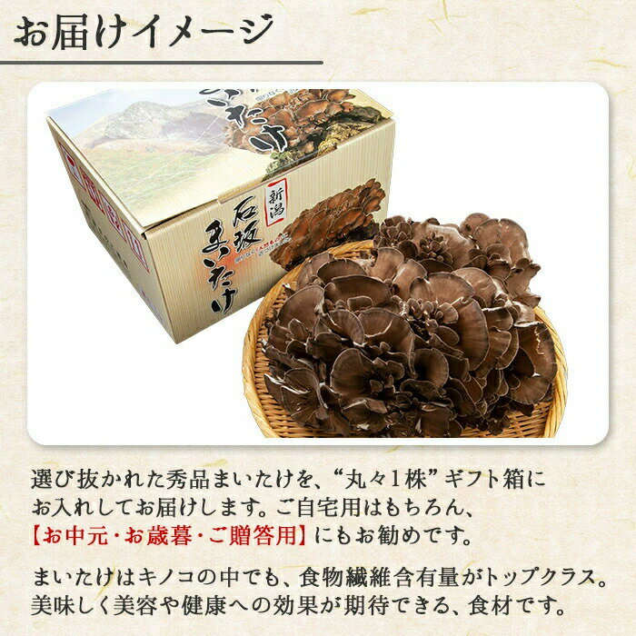 ギフト 舞茸 化粧箱付（石坂舞茸 1kg/黒舞茸 700g）（高級 まいたけ 贈答用 マイタケ 贈答品 舞茸 送料無料 ご当地 お取り寄せグルメ ギフト きのこ 食べ物 ギフト 誕生日 プレゼント 内祝い お返し gift set 野菜 きのこ キノコ お鍋 具材 送料無料）