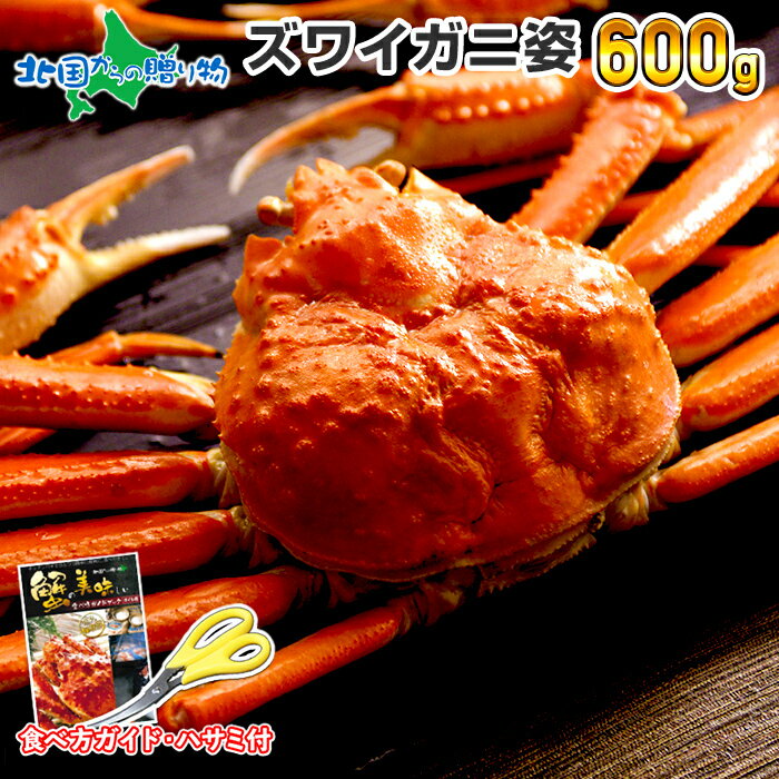 【ギフト】カニ ズワイガニ ボイル 姿600g かに 甲羅 足 カニ ギフト ずわいがに カニ ズワイ蟹 ギフト すがた 蟹 鍋 ずわい ボイル 蟹 敬老の日 カニ かに ギフト かに 誕生日 プレゼント 敬老の日 ギフト 食べ物 ギフト お取り寄せ グルメ ギフト 蟹 gift