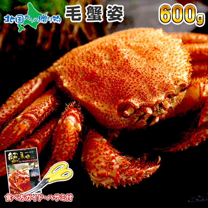 【ギフト】カニ 毛ガニ 姿600g かに 蟹 ギフト カニ 姿 蟹姿 毛蟹 毛がに けがに 蟹味噌 かにみそ カニ味噌 鍋 ギフト 御歳暮 ギフト お歳暮 蟹 毛ガニ 北海道 カニ お歳暮 かに ギフト 蟹 海鮮 お正月 グルメ 年末年始 お歳暮 毛ガニ ギフト お取り寄せ グルメ 加藤水産