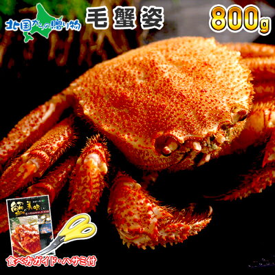 【ギフト】カニ 毛ガニ 姿 800g /かに カニ ボイル 蟹 毛ガニ 北海道 蟹姿 毛がに 毛蟹 特大 けがに 蟹味噌 かにみそ カニ味噌 父の日 母の日 カニ 甲羅 足 かに 鍋 ギフト 海鮮 お...