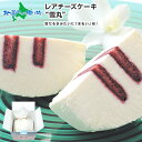 チーズケーキ 北海道チーズケーキ雪丸 レアチーズケーキ お菓子 洋菓子 スイーツ おかし お返し 内祝い ギフト 贈答品 お取り寄せ