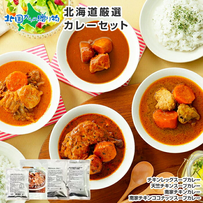 北海道カレーセット スープカレーセット 4食(北国チキンレッグ/南家/天竺/ココナッツ)業務用 カレー セット レトルトカレー 常温保存 北海道 スープカレー レトルト 食品 詰め合わせ セット チキンカレー お取り寄せ カレー soup curry set 送料無料