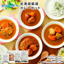 北海道カレーセット スープカレーセット 4食(北国チキンレッグ/南家/天竺/ココ