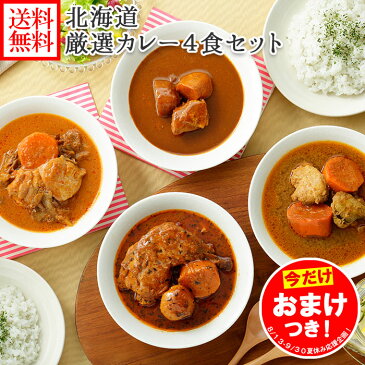 今だけ!オマケ付き 北海道カレーセット スープカレーセット 4食(北国チキンレッグ/南家/天竺/ココナッツ)業務用 カレー セット レトルトカレー 常温保存 北海道 スープカレー レトルト 食品 詰め合わせ セット チキンカレー お取り寄せ カレー soup curry set 送料無料