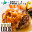 北海道ハンバーグ 6個 セット 和風おろしソース付き 肉 ハンバーグ 冷凍 グルメギフト お肉 ギフト プレゼント 北海道 ハンバーグ ギフト 北海道 お取り寄せグルメ 御歳暮 お歳暮 ハンバーグ 北海道 お惣菜 肉 gift 食べ物 ギフト お歳暮 お肉 肉の山本 送料無料