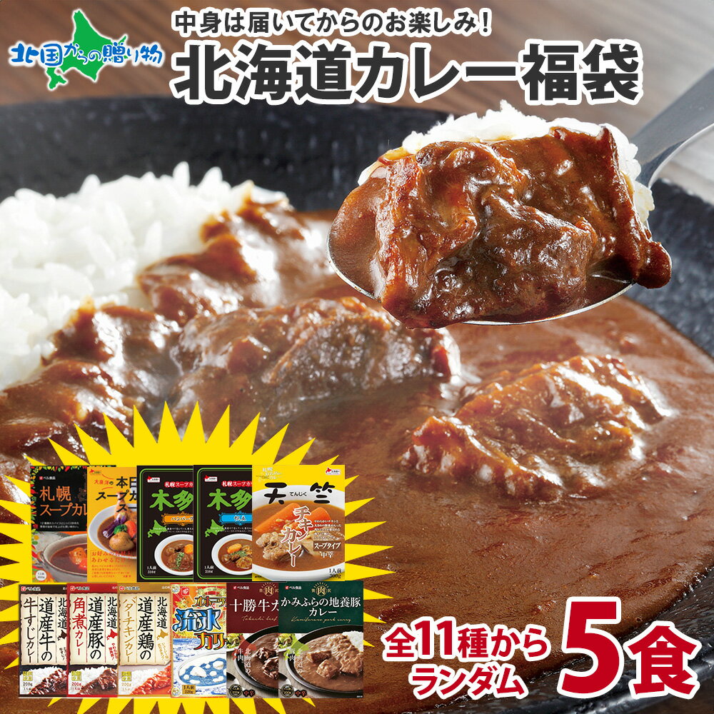 ランダム5食 北海道 カレー福袋 お楽しみ食べ比べ5食セット/カレー セット レトルトカレー ギフト カレー レトルト 詰め合わせ チキンカレー ベル食品 オホーツク流氷カレー ご当地カレー 北海道グルメ 敬老の日 カレー 食べ物 お取り寄せ グルメ福袋 北海道 福袋 curry