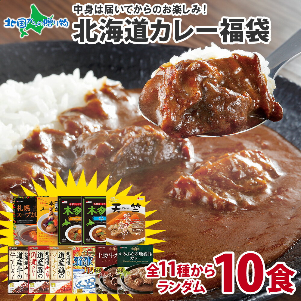 ランダム5食 北海道 スープカレー レトルト 福袋 お楽しみ食べ比べセット ご当地 カレー セット/レトルトカレー ギフト カレーセット カレー レトルト 詰め合わせ スープカレー セット 札幌 天竺 木多郎 南家 大泉洋 父の日 母の日 カレー 北海道 カレー 福袋のサムネイル