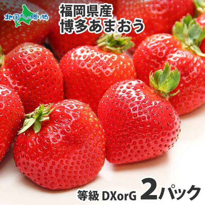福岡県産 博多あまおう イチゴ 270g 6-11粒 ×2 いちご 苺 デラックス DX グランデ  ...