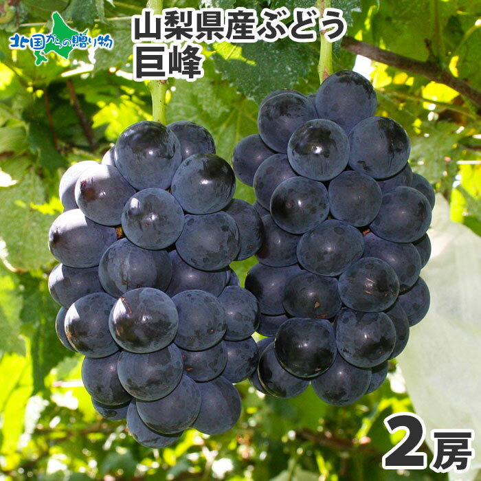 山梨県産 巨峰2房 約1kg ギフト ぶどう ブドウ ギフト 産地直送 お取り寄せ グルメ 果物 御中元 お中元 フルーツ ギフト 旬の果物 産直 ぶどう お中元 暑中見舞い 残暑見舞い ギフト プレゼント 北国からの贈り物 送料無料 残暑お見舞い◆出荷予定:8月中旬-9月上旬