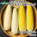 訳あり 北海道産 トウモロコシ 食べ