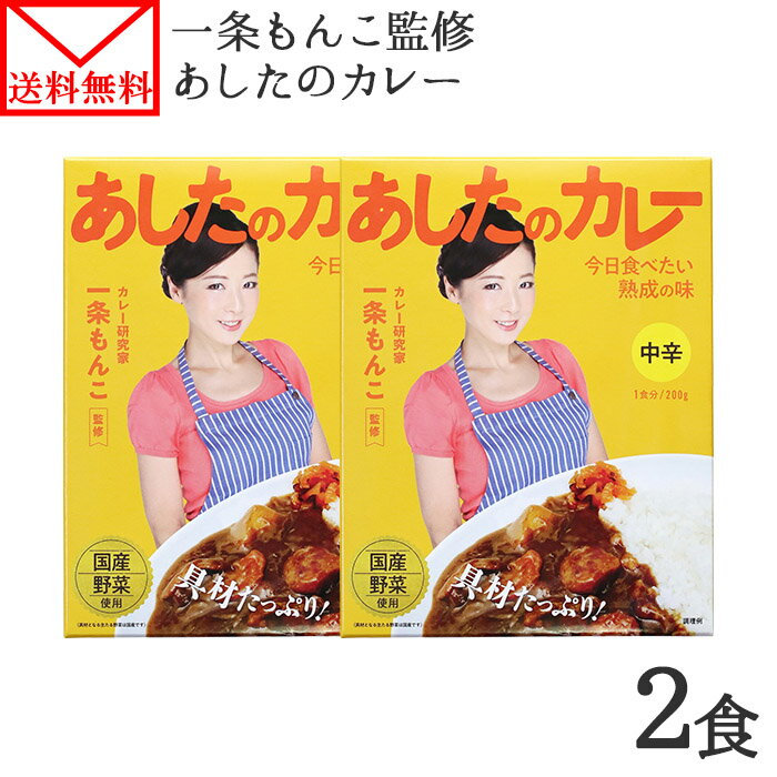 カレー あしたのカレー 2食 セット 一条もんこ 監修 カレー レトルト レトルトカレー レトルト食品 お取り寄せグルメ…