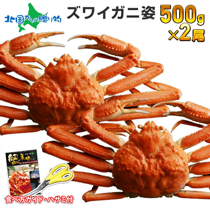 【ギフト】カニ ズワイガニ 姿 ボイル 500g x 2尾 かに ギフト カニ 姿 蟹 残暑見舞い 敬老の日 カニ 蟹姿 ズワイ蟹 ずわいがに ボイル ズワイガニ ずわい ボイル かに 鍋 蟹 ギフト 敬老の日 ギフト 食べ物 かに ギフト 甲羅 足 すがた 蟹 お取り寄せ グルメ gift