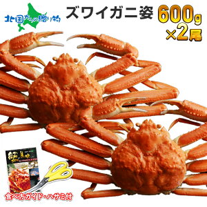 【お歳暮 ギフト】カニ ズワイガニ 姿 ボイル 600g x 2尾 かに ギフト カニ 姿 蟹 蟹姿 ズワイ蟹 かに 鍋 甲羅 足 ずわいがに ボイルズワイガニ カニ ギフト すがた 蟹 かに 蟹 ギフト カニ プレゼント 御歳暮 食べ物 冬ギフト gift present 送料無料 年内配送 北国