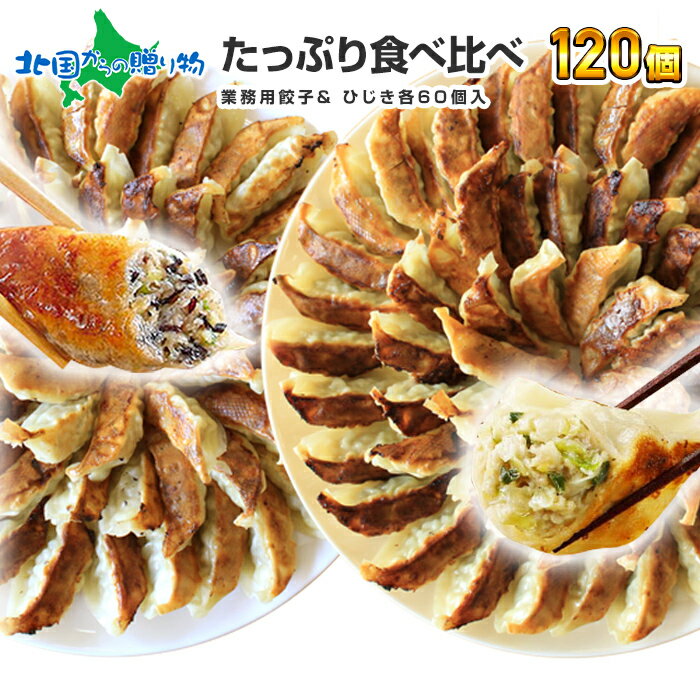 業務用 冷凍餃子 冷凍ひじきギョーザ 各60個(120個10人前) セット ひじき 餃子 冷凍 ヨコミゾ 国産 ぎょうざ お取り寄せ 餃子 パーティー 中華点心 おつまみ 中華 点心 国産野菜 中華惣菜 ひじき餃子 冷凍餃子 こどもの日 父の日 餃子 母の日 食べ物 グルメ 送料無料のサムネイル