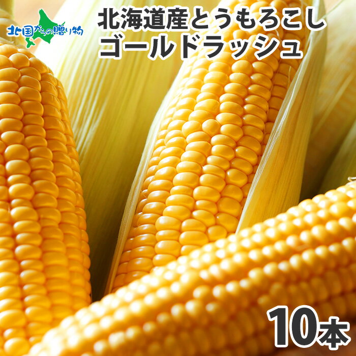 北海道産 とうもろこし ゴールドラッシュ 10本 Lサイズ トウモロコシ 生食 甘い とうもろこし 北海道 生 とうきび トウキビ 生で食べられる とうもろこし 残暑見舞い ギフト お取り寄せグルメ BBQ バーベキュー 食材 北国からの贈り物 送料無料◆出荷予定：7月下旬～9月上旬