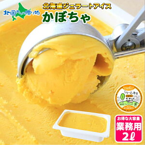 くりーむ童話 北海道 アイスクリーム かぼちゃ ジェラート 2L 業務用 2リットル アイス 大容量 いっぱい アイスクリーム 業務用 牛乳 南瓜 北海道 お取り寄せ スイーツ 手作り アイス Gift ギフト プレゼント 贈り物 贈答品