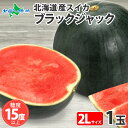 糖度15度前後 北海道産 種無しスイカ 甘いスイカ ブラックジャック 2Lサイズ 1玉 5.5-6.5kg前後 残暑見舞い 夏ギフト 黒い スイカ 種なし スイカ すいか 高糖度 甘い 大玉 種の少ない 黒皮 お取り寄せ フルーツ 果物 夏 贈答用 贈り物 送料無料 ◆出荷予定:8月上旬-9月中旬