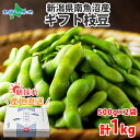新潟県産 南魚沼 枝豆 500g×2袋 1kg 産地直送 国産 枝豆 朝採り 新鮮 えだまめ えだ豆 エダマメ 豆 まめ マメ 食品 野菜 やさい 産直 おつま...