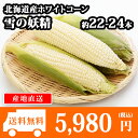 北海道産 ホワイトコーンとうもろこし 22-24本 トウモロ...