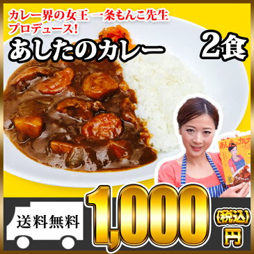 カレー あしたのカレー 2食 セット 一条もんこ 監修/レトルト/レトルトカレー/レトルト食品/お取り寄せ メール便 送料無料