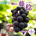 山梨県産 藤稔 2房 約1kg ふじみのり ギフト 藤みのり 種無しぶどう 種なしブドウ 葡萄 産地直送 産直 ぶどう お取り寄せグルメ 果物 お中元 フルーツ 旬の果物 暑中見舞い 夏ギフト 御中元 お中元 ぶどう 北国からの贈り物 送料無料 残暑見舞い◆出荷予定:8月上旬~8月下旬