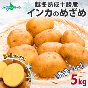 越冬熟成 十勝産 インカのめざめ 5kg 越冬 じゃがいも S−L インカの目覚め 送料無料 ジャガイモ ポテト 芋 いも イモ お取り寄せ グルメ 旬 鮮度 ギフト 産地直送 国産 新鮮 食品 野菜 贈答品 贈り物 料理 調理 冷蔵 農作物 ◆出荷予定:3月上旬-7月末発送