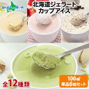 くりーむ童話 北海道 アイスクリーム ジェラート 12種類 6個セット 単品 みるく ピスタチオ メロン クリームチーズ バニラ チョコレート いちご 抹茶 ほうじ茶 ごま チョコチップ ヘーゼルナッツ ギフト プレゼント 父の日 アイスクリーム ギフト スイーツ アイス 送料無料