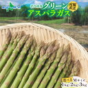 【マラソンまとめ買いお得クーポン対象】【5月中旬~9月下旬出荷予定】 新潟県産 グリーンアスパラガス Mサイズ 1kg / 2kg / 3kg 新潟 産直 アスパラガス 新潟県 アスパラ グリーンアスパラ 新鮮 野菜 お取り寄せ グルメ 産地直送 野菜 旬 産直 送料無料 予約販売
