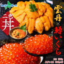 雲丹 100g 鱒いくら醤油漬け 100g×2個 セット うに ウニ チリ産 ミョウバン不使用 冷凍 いくら イクラ ます 鱒 マス いくら醤油 魚卵 新鮮 冷...
