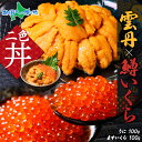 うに 100g 鱒いくら醤油漬け 100g セット うに ウニ チリ産 ミョウバン不使用 冷凍 いくら イクラ ます 鱒 マス いくら醤油 魚卵 新鮮 冷凍 海...