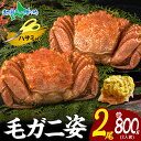 お中元 夏ギフト 毛ガニ 姿 2尾 計800g 2人前 1尾400g ボイル 蟹身 蟹味噌 かに カニ 蟹 お中元 毛蟹 毛がに 毛カニ けがに ケガニ 茹で ...