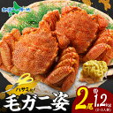 毛ガニ 姿 2尾 計1.2kg 2-3人前 1尾600g ボイル 蟹身 蟹味噌 かに カニ 蟹 毛蟹 毛がに 毛カニ けがに ケガニ 茹で 蟹みそ かにみそ か...