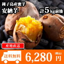 【予約受付中】種子島産 安納芋 15-25本前後/計5kg前後 さつまいも/サツマイモ/焼き芋/蜜芋 送料無料 ◆出荷予定:2017年10月上旬-2018年3月上旬