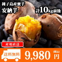 【予約受付中】種子島産 安納芋 30-50本前後/計10kg前後 さつまいも/サツマイモ/焼き芋/蜜芋 送料無料 ◆出荷予定:2017年10月上旬-2018年3月上旬