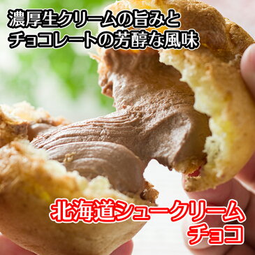 父の日 ギフト プレゼント 食べ物 北海道とろとろシュー6個セット（チョコ） シュークリーム/シューアイス/ギフト/贈答品/プチギフト/お菓子/洋菓子/スイーツ/おかし/お返し/内祝い/お取り寄せ